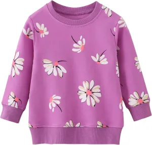 AMIYAN Toddler Boys Sweatshirts Cotton Long Sleeve Pullover Girls Crewneck Hoodies Tops Cartoon Sport Shirts for Kids 2-6Y